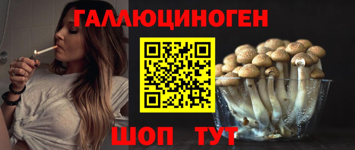 Холмск  Псилоцибиновые грибы Psilocybine cubensis  Вход с VPN 